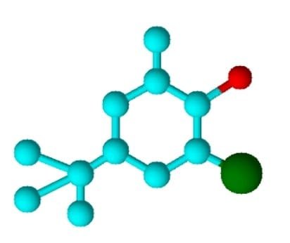 WhatsApp Image 2025-08-17 at 16.00.29_9b0cd5c9